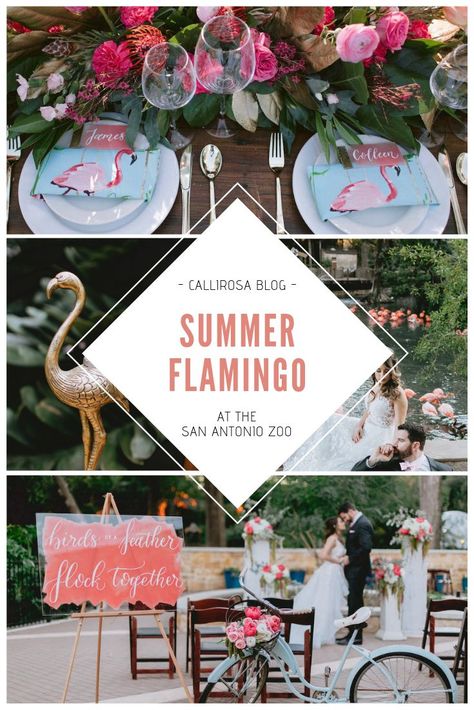 A Summer Flamingo Wedding Affair - Styled Shoot at San Antonio Zoo - CalliRosa - Calligraphy and Custom Design Flamingo Wedding Theme, Sendoff Ideas, Coral Wedding Themes, Lawn Flamingos, Flamingo Wedding, Bridesmaid Tips, San Antonio Zoo, Summer Reception, Summer Flamingo