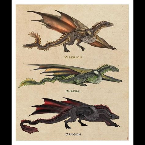 House Of Dragons Dragons, Meleys The Dragon, House Of Dragon Dragons, Dragon Vhagar, Vhagar Dragon, House Of The Dragon Dragons, Syrax Dragon, Rhaegal Dragon, Viserion Dragon