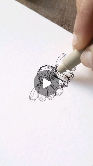 Simple Pen Sketches For Beginners, Flower Line Drawing Simple, Fine Line Art Drawings, Things To Draw With Pen, Easy Pen Art, Pen And Ink Sketches, Line Drawing Flowers, Biro Drawing, Flower Pedals