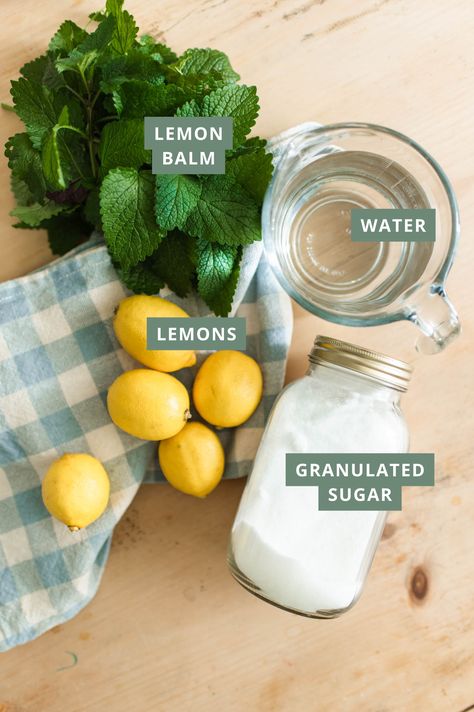 Farmhouse Lemon Balm Lemonade Recipe Homemade Lemonade Concentrate, Lemon Drinks, Lemon Juicer, Lemon Drink, Lemonade Recipe, Fruit Preserves, Homemade Lemonade, Raspberry Lemonade, Lemonade Recipes