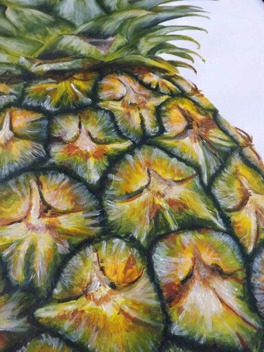 Oil Pastel Pineapple, Pineapple Oil Painting, Pineapple Drawing, Pineapple Painting, Fruit Art Drawings, Colored Pencil Art Projects, Natural Form Art, Skin Paint, Gcse Art Sketchbook