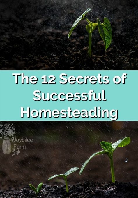 12 things you need to know on how to homestead while being self sufficient, successful and self reliant. #joybileefarm #homesteadingselfsufficient #homesteadingskills Being Self Sufficient, Farm Diy, Living Skills, Homesteading Skills, Self Sufficient, Self Reliance, Learn A New Skill, Marketing Skills, Community Gardening