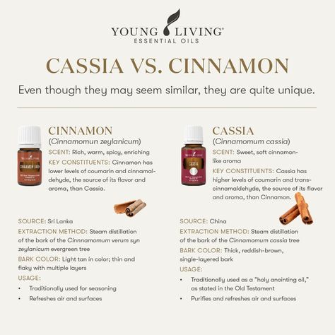 Young Living Essential Oils:  Cassia vs. Cinnamon Essential Oil For Sunburn, Essential Oils For Fleas, Cassia Essential Oil, Essential Oils For Cough, Essential Oil Beauty, Essential Oil Combinations, Essential Oils For Pain, Essential Oils For Headaches, Essential Oils For Kids