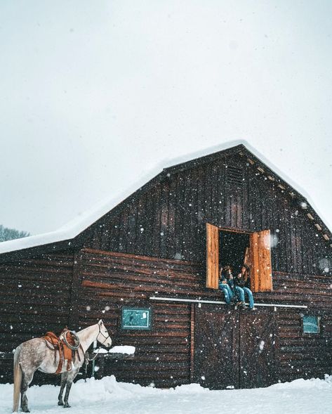 Winter Western Aesthetic, Winter Cowgirl Aesthetic, Winter Country Aesthetic, Western Winter Aesthetic, Country Christmas Aesthetic, Winter Cowgirl, Colorado Life, Horses In Snow, Broken Bonds