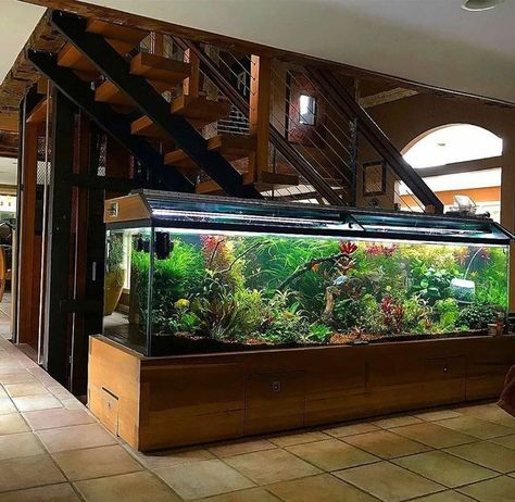 Planted Aquarium Ideas, Best Aquarium Filter, Aquarium Home, Wall Aquarium, Big Aquarium, Fish Tank Themes, Fish Pond Gardens, Garage Design Interior, Amazing Aquariums