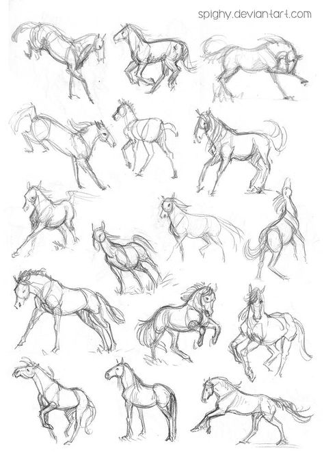 Horse Drawing Tutorial, Horse Art Drawing, Animal Sketch, Horse Sketch, Animal Drawings Sketches, Easy Animals, Animal Study, Horse Drawing, Horse Drawings