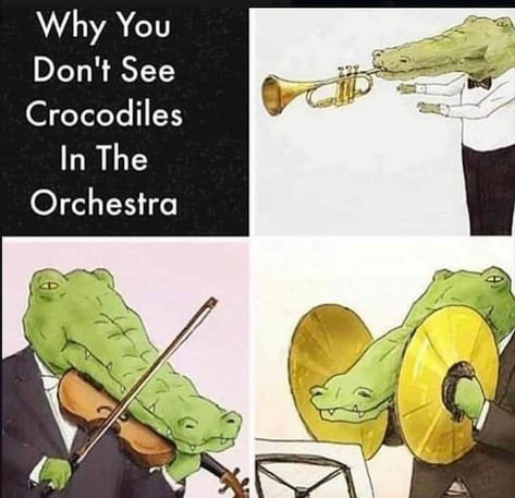 Why you don't see crocodiles in the orchestra. Musician Jokes, Musician Humor, Band Jokes, Music Jokes, Music Nerd, Band Nerd, Band Geek, Band Humor, Band Memes