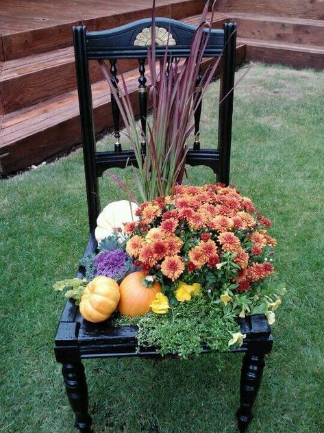 22 Amazing Upcycled Broken Chair Ideas For Backyard - 142 Fern Planters, Garden Chairs Design, Fall Displays, Trees For Front Yard, Chair Planter, Porch Chairs, Fall Containers, Fall Planters, Diy Fence