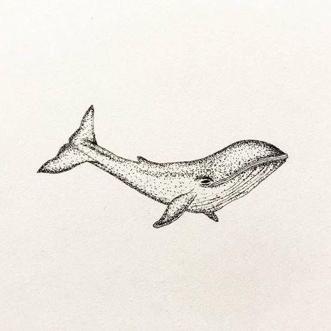 Whale Stippling Art, Pointalism Art Black And White, Pointilism Art, Pointalism Art, Sketch Black And White, Stippling Drawing, Cloud Photo, Dotted Drawings, Whale Tattoos