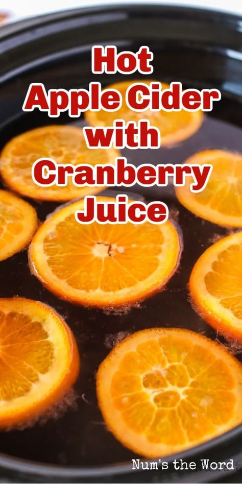 Cranberry Cider Recipe, Cranberry Apple Cider, Apple Cidar, Hot Apple Cider Recipe, Christmas Cider, Apple Cider Punch, Cranberry Cider, Apple Cider Drink, Cranberry Drinks