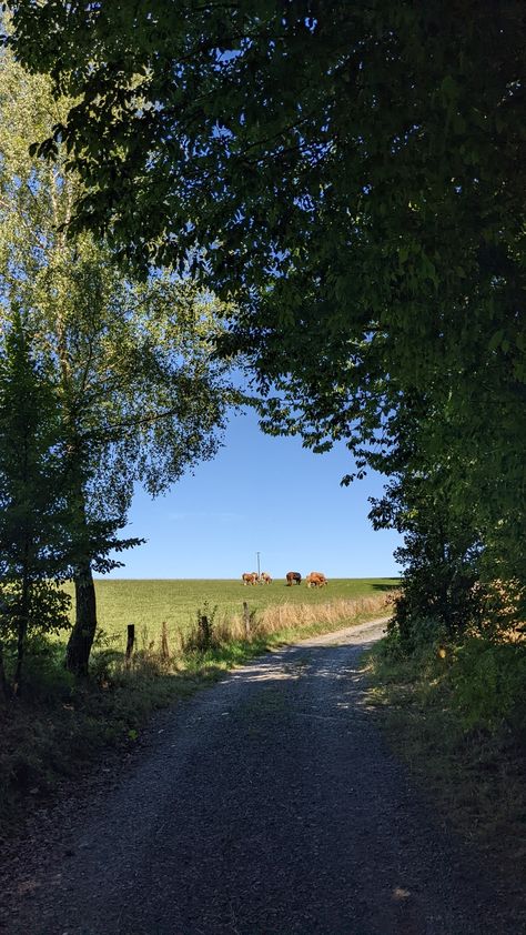 Austrian Countryside, Farm Fields, Countryside Walks, Farm Visit, Heart In Nature, Farm Lifestyle, Landscape Photography Nature, Green Landscape, English Countryside