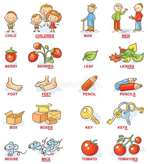 Plural Of Nouns, Nouns For Kids, Plural Nouns Activities, Singular And Plural Words, Plurals Worksheets, Plural Nouns Worksheet, Fruits Name In English, Plural Words, Singular Plural