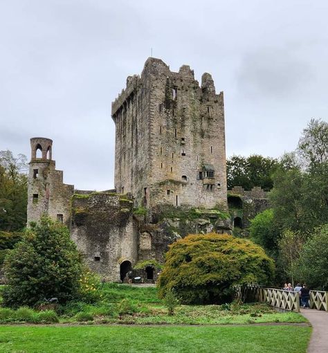 Disney Princesses Aesthetic, Aesthetic Disney Princess, Brave Disney Princess, Princesses Aesthetic, Blarney Castle Ireland, Brave Disney, Disney Princess Merida, Blarney Castle, Castle Ireland