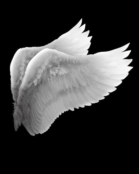 Angel Wings Png, Wings Png, Picsart Png, White Angel Wings, Wings Drawing, Angel Tattoo Designs, Mobile Photo Editing, Wings Art, New Background Images