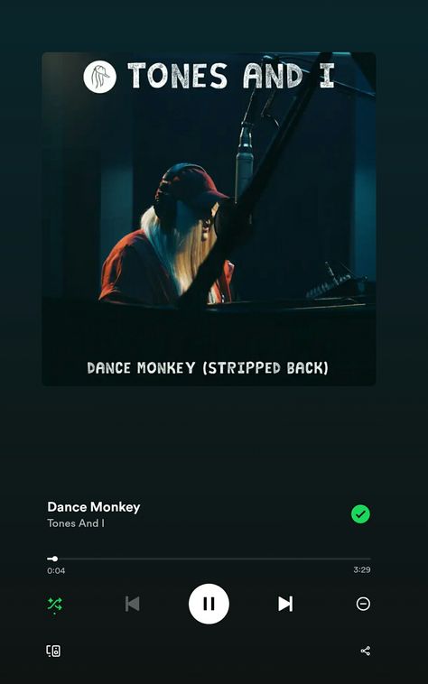 Dance Monkey |Spotify lycrics Dance Monkey, Spotify Song, Songs