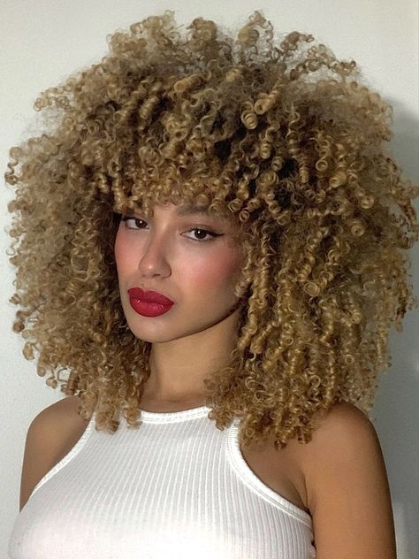 Curly Hair 3c, Afro Hair Inspiration, 3c Curls, Curly Hair Afro, 3c Curly Hair, Curly Cuts, Pixie Haircut Ideas, Hair Goal, Afro Queen