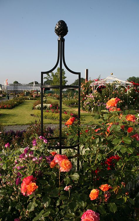 Obelisks In The Garden, Metal Obelisk, Yard Pathway, Garden Obelisk, Classic Garden, Garden Elements, Pine Cone, Creative Community, Powder Coating