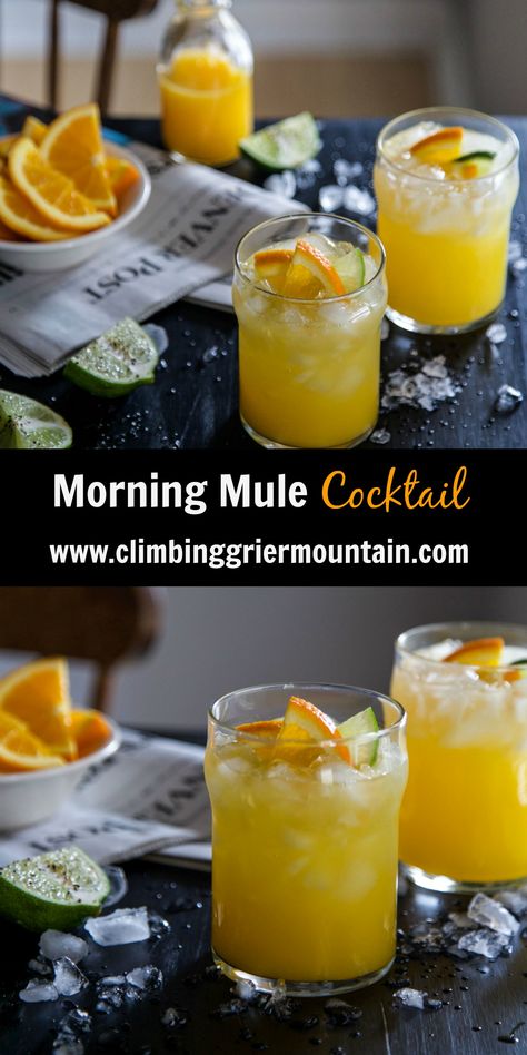 Easter Mule Cocktail, Cointreau Cocktail, Campari Cocktail, Brunch Punch, Orange Juice And Vodka, Morning Cocktail, Easy Alcoholic Drinks, Breakfast Cocktails, Once Upon A Chef