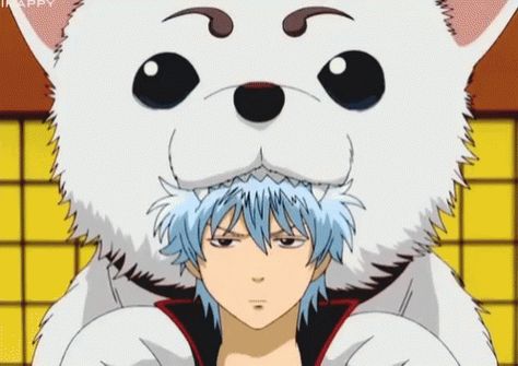 Sadaharu Gintama GIF - Sadaharu Gintama Gnawing - Discover & Share GIFs Gintoki Pfp, Gintama Pfp, Gintama Gif, Gintama Live Action, Gintama Funny, Gin Tama, Photo Awards, 5 Anime, Rick Riordan