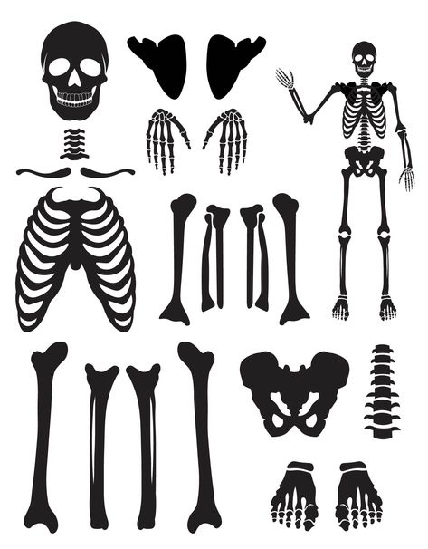 Outline For Project, Zepeto Item, Free Skeleton Printables, Skeleton Stencil Templates, Skeleton Cut Out, Bone Template Free Printable, Free Printable Skeleton Template, Skeleton Paper Craft, Skeleton Bones Printable