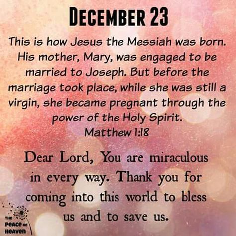 Light in this world full of darkness. December 23 Quotes, Blessed Christmas Quotes, May Your Day Be Blessed, December Blessings, December Scriptures, Progressive Christian, Bible Verse Matthew, December Images, Christmas Verses