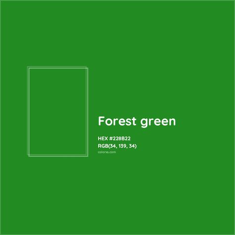 HEX #228B22 Forest green Color - Color Code Forest Green Palette, Green Color Meaning, Munsell Color System, Analogous Color Scheme, Rgb Color Codes, Colorful Website, True Autumn, Green Palette, Dark Autumn