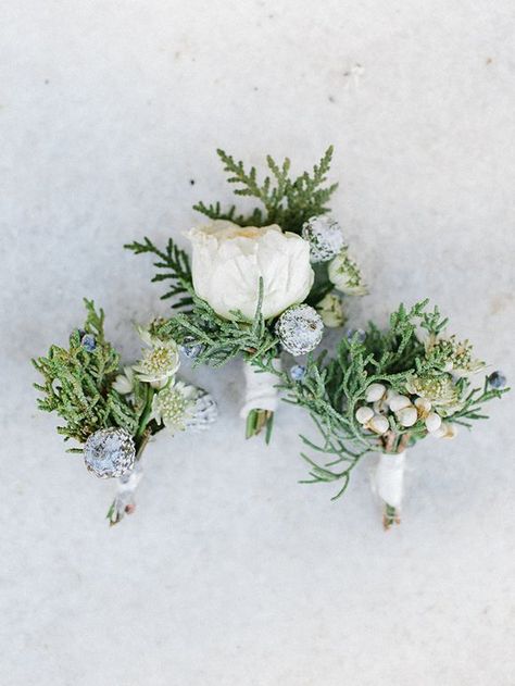 Winter Wedding Boutonniere | Stunning Winter Wedding Inspiration In The Fog via Magnolia Rouge Juniper Wedding Bouquet, White Winter Boutonniere, Juniper Boutonniere, Winter Boutonniere, Wedding Flowers Tulips, Pine Leaves, Winter Shoot, Flowers Winter, Bright Wedding Flowers