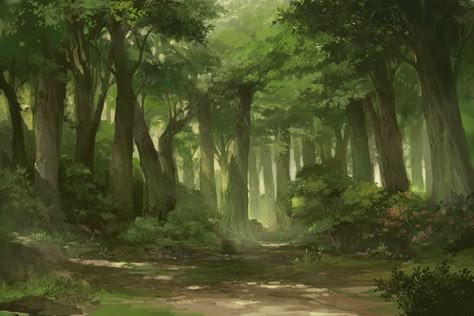 Dnd Backgrounds, Forest Drawing, Bg Design, Forest Background, Forest Illustration, Landscape Concept, Background Drawing, Fantasy Forest, Forest Art