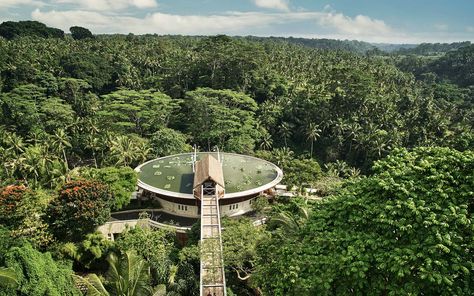 Our Editor in Chief Explains Why This Is the No. 1 Hotel in the World | After a stay at this edenic property in Bali, Nathan Lump reflects on what makes a hotel the best of the best. Balinese Architecture, Bali Resort, Architecture Modern, Four Seasons Resort, Bali Hotels, Vegas Hotel, Italy Travel Guide, Las Vegas Hotels, Design Hotel