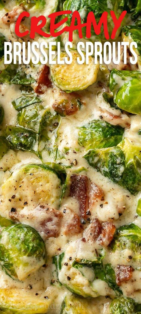 Brussels Sprouts With Bacon Recipe, Creamy Brussels Sprouts, Parmesan Brussels Sprouts, Brussel Sprouts Recipes Easy, Easy Vegetable Side Dish, Brussel Sprout Recipes, Brussels Sprouts With Bacon, Brussel Sprout Recipes Roasted, Winter Salads