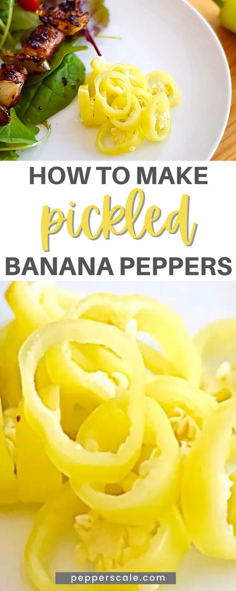 Learn How to Make Pickled Banana Peppers with this easy recipe! This pickled banana peppers recipe is easy to make and surprisingly quick, especially if the focus is immediate eating and not canning (like this recipe expects.) Though the longer you let them sit in the brine, the tangier – and tastier – they will be. Pickled Banana Peppers Recipe, Pickle Banana Peppers Recipe, Banana Peppers Recipe, Pickled Pepper Recipe, Canning Banana Peppers, Recipes With Banana Peppers, Hot Banana Peppers, Pickled Banana Peppers, Pressure Canning Recipes