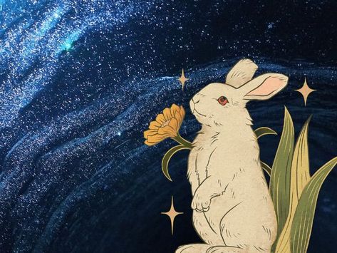 Water Rabbit Chinese Zodiac, Astrology 2023, Jade Olivia, Water Rabbit, Water Tiger, Year Of Rabbit, China Moon, Astro Tarot, Chinese Anime