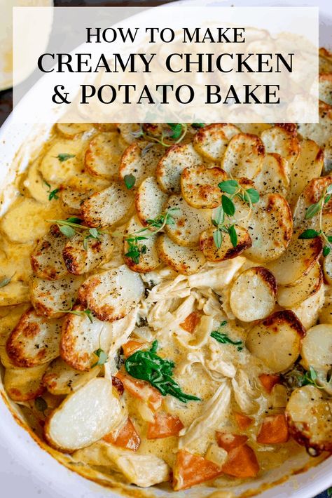 This Creamy Chicken and Potato Bake with extra veggies is a whole meal in one dish! Kind of like a creamy chicken, carrot and spinach casserole, topped with potato gratin! #potatogratin #onepotmeal #creamychicken #chickencasserole Chicken Potato Veggie Bake, Creamy Chicken Potato Bake, Chicken Potato Carrot Recipe, Chicken Potato Carrot, Chicken And Potato Recipes, Creamy Chicken Dinner, Chicken And Vegetable Casserole, Chicken Potato Casserole, Chicken And Mushroom Pie