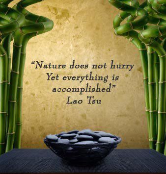 Nature Does Not Hurry, Citation Nature, Citation Zen, Lao Tzu Quotes, Zen Quotes, Tao Te Ching, Taos, Nature Quotes, Timeline Photos