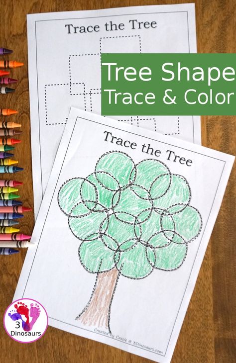 Creative Curriculum Preschool, Trace And Color, 3 Dinosaurs, Tree Study, Shapes Preschool, Creative Curriculum, Shapes Activities, Top Kids, Shapes For Kids