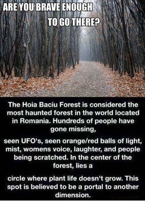 19 Creepy Facts That'll Give You a Fright - Creepy Gallery Scary Myths, Horror Memorabilia, Hoia Baciu Forest, Strange Names, Paranormal Facts, Wierd Facts, Strange Facts, Scary Facts, Scary Things