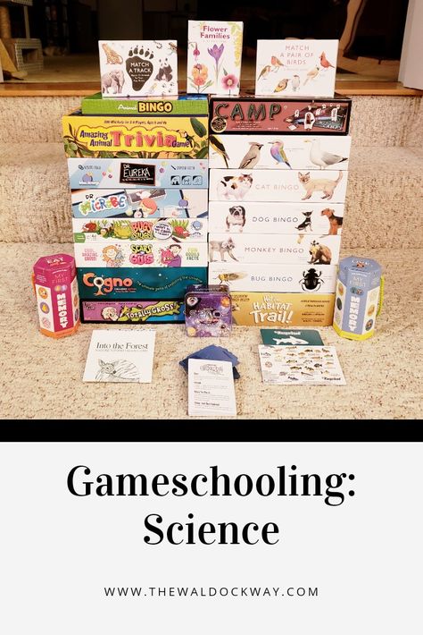 Homeschool Games Kindergarten, Gameschooling Kindergarten, Game Schooling, Gameschooling 2nd Grade, High School Science Homeschool, Project Based Learning Homeschool, Homeschool Online Games, Homeschool Games, Homeschool Education