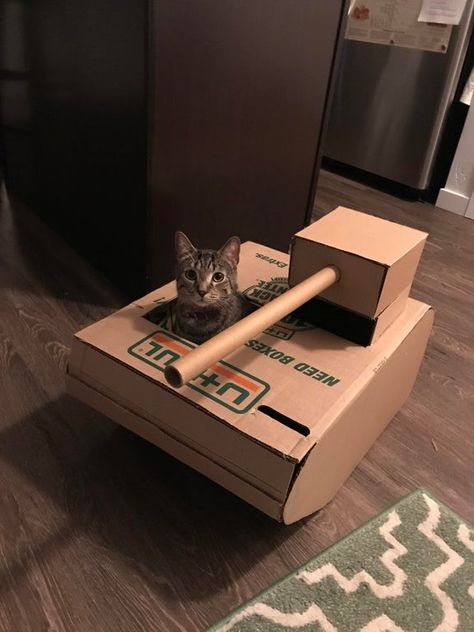 DIY: Fun and Easy Way to Build a Cardboard Cat House - Moving Insider Cat House Diy Cardboard, Hilarious Animals, Cardboard Cat House, Cat Castle, Cat House Diy, Diy Cat Toys, Cat Tanks, Funny Pigs, Animals Pictures