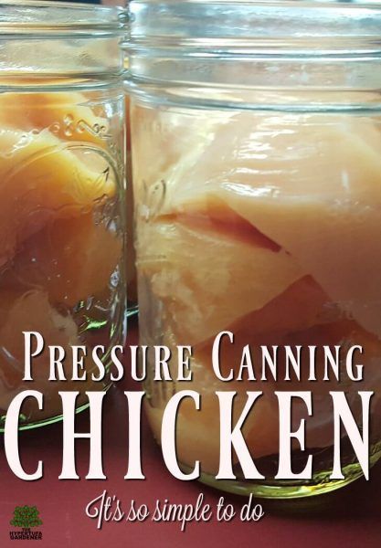 Pressure Canning Chicken, Pressure Canning Meat, Canning Chicken, Canning Pressure Cooker, Pressure Canning Recipes, Can Chicken, Home Canning Recipes, Raw Chicken Breast, Canning Food Preservation