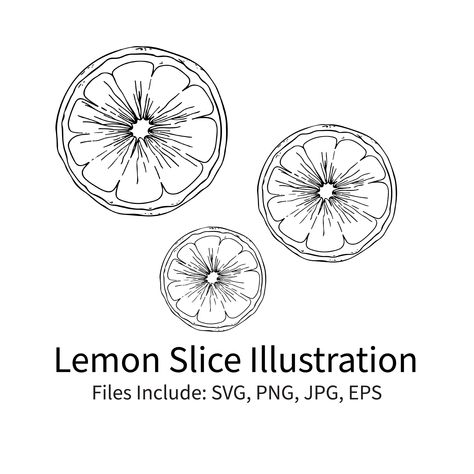 Lemon Slice Drawing, Drawing Lemon, 2d Sketch, Lemon Illustration, Design Toolkit, Projects Design, Line Drawings, Lemon Slice, Baking Ideas