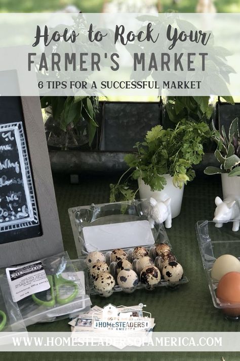 How to ROCK Your Farmer's Market: 6 Tips for a Successful Farmer's Market Egg Display Farmers Market, Selling Eggs At Farmers Market, Starting A Farmers Market, Produce Displays Market Stands, Farmers Market Banner Ideas, Selling Herbs At Farmers Market, Farmers Market Egg Display, Farmers Market Marketing, Farmers Market Tips