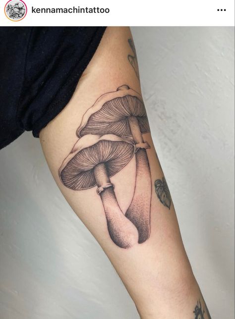 Bodhi Tattoo, Mushroom Tattoo Ideas, Wood Tattoo, Mushroom Tattoo, Surreal Tattoo, Single Line Tattoo, Mushroom Tattoos, Mushroom Drawing, Mountain Tattoo