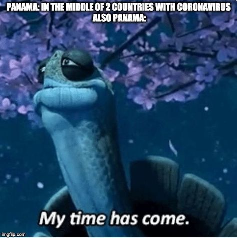 My Time Has Come Turtle Meme, My Time Has Come, Most Popular Memes, Kung Fu Panda, Meme Template, What’s Going On, You Funny, Kung Fu, Funny Posts