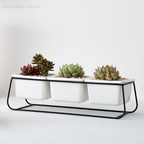 Small Ceramic Planter, Planting Pots, Ceramic Succulent, Iron Shelf, Indoor Planter, Succulents Indoor, Ceramic Flower Pots, Planter Stand, Metal Planters