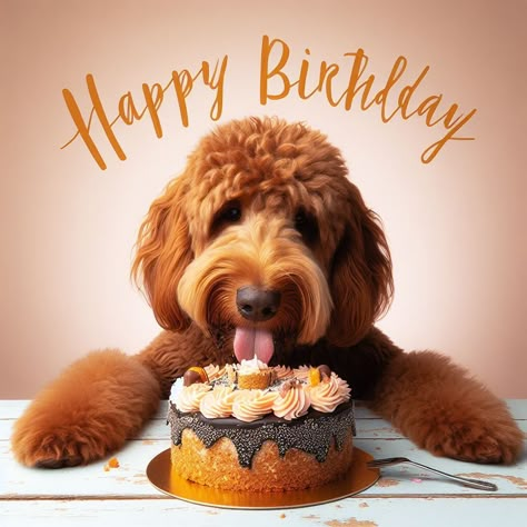 Dog Birthday Wishes, Happy Birthday Puppy, Cute Happy Birthday Wishes, Happy Birthday Niece, Funny Happy Birthday Meme, Happy Birthday Man, Birthday Wishes Pics, Happy Birthday Woman, Birthday Greetings Friend