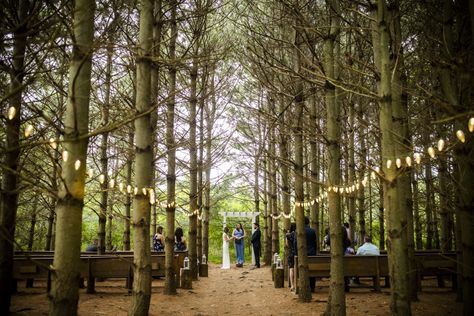 Fall Micro Wedding, Columbus Ohio Wedding Venues, Micro Wedding Venues, Park Wedding Ceremony, Micro Wedding Ideas, Orchard House, Ohio Wedding Venues, Columbus Ohio Wedding, Pavilion Wedding