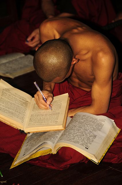 . Buddhist Monk, Human Poses Reference, Human Poses, Cinematic Photography, Anatomy Reference, Action Poses, Pose Reference Photo, Photo Reference, The Last Airbender