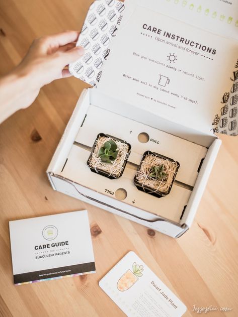 Plant Subscription Boxes, Care For Succulents, Subscription Box Design, Kaktus Dan Sukulen, Packaging Ideas Business, Plant Box, Succulent Gifts, Candle Packaging, Starter Plants