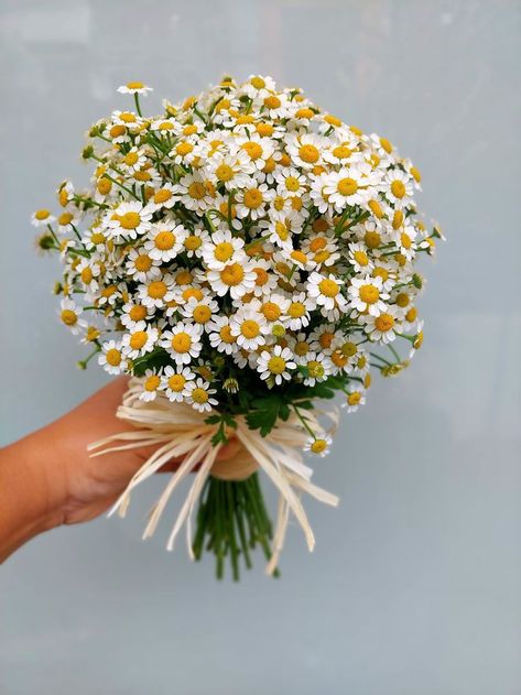 Ramos Aesthetic, Daisy Flower Arrangements, Daisy Bouquet Wedding, Single Flower Bouquet, Outdoor Tent Wedding, Daisy Wedding Flowers, Simple Wedding Bouquets, Daisy Wedding, Daisy Bouquet