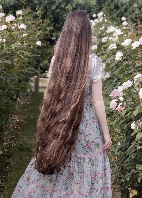 Extremely Long Hair, Long Silky Hair, Long Hair Pictures, Really Long Hair, Long Brown Hair, Super Long Hair, Long Wavy Hair, Long Hair Girl, Very Long Hair